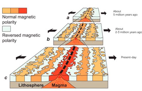 Magnetic Field Reversal | CK-12 Foundation