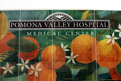 Pomona Valley Hospital employees seek ballot measure addressing ...