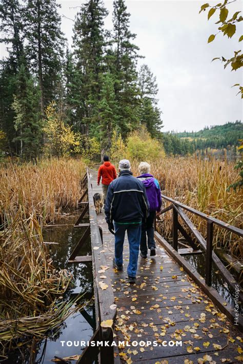 Fall Hiking Trails and Paths in Kamloops, British Columbia | Fall hiking trails, Fall hiking ...