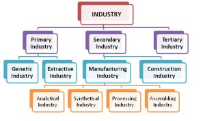 Concept and Types of industry | Management Education