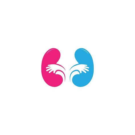 Premium Vector | Colorful Kidney Logo Design Concept Urology Logo Vector Template