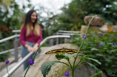 Butterfly Conservatory | Niagara Falls