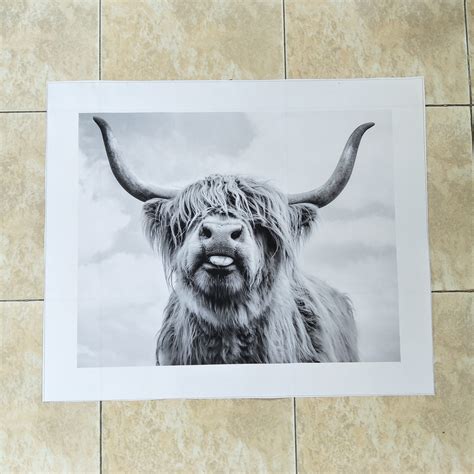 Black and White Highland Cow Cattle Wall Canvas Art Nordic Painting Poster and Print ...