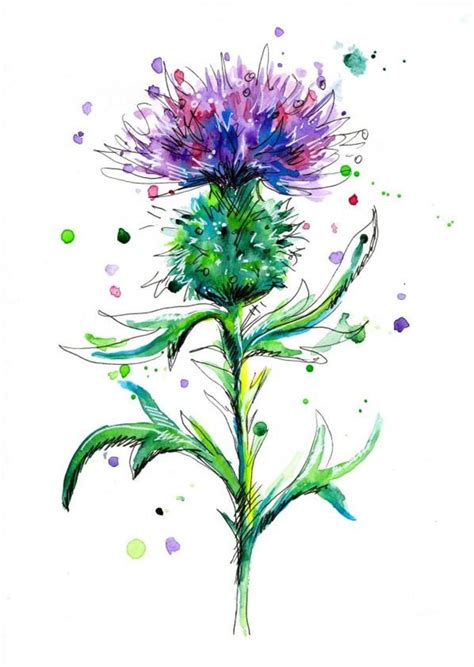 Thistle Painting Flower art ... | Thistle painting, Thistles art, Scottish thistle art