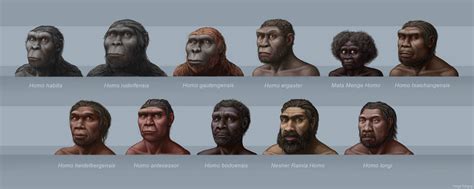 More Archaic Humans by Vanga-Vangog on DeviantArt