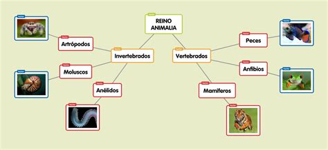 Mapa Mental Do Reino Animal - FDPLEARN