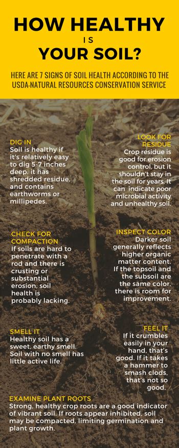 Strip-Till Practices Promote Soil Health