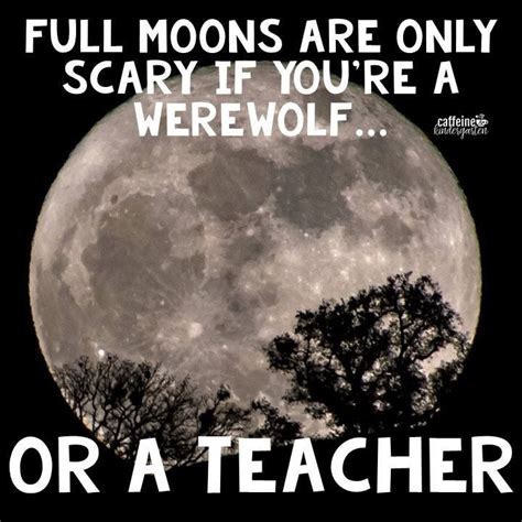 Pin by RhS on Teacher Tools | Teacher humor, Teacher quotes funny, Teacher memes