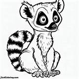 Lemur Picture Coloring Page  For Kids – Smart Creative And Fun sketch template