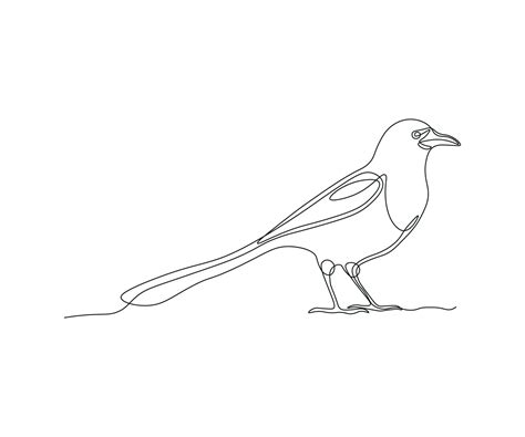 abstract Magpie Bird Continuous One Line Drawing 22949393 Vector Art at Vecteezy