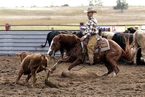 The Run For A Million Welcomes Cow Horses to 2021 Event with $150,000 ...