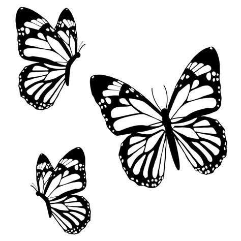 butterflies black and white 24134742 PNG