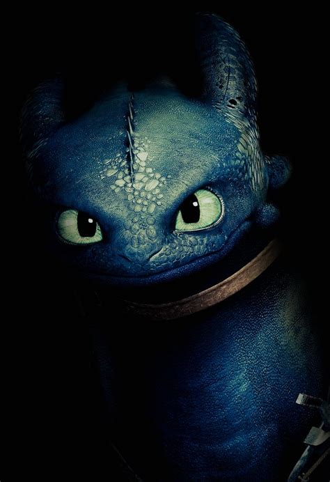 36 best Toothless (from Dreamworks How to Train Your Dragon) images on ...