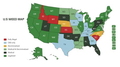 Marijuana Laws by State for 2024. Where is Marijuana Legal?