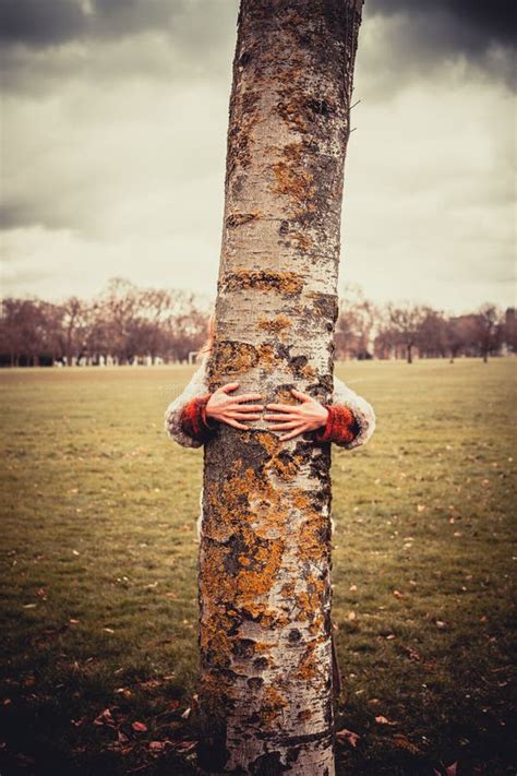 Woman hugging a tree stock photo. Image of tint, concept - 38099416