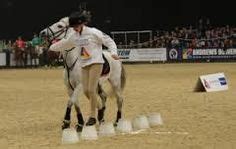 38 Gymkhana Horse Games ideas | horse games, horses, show horses