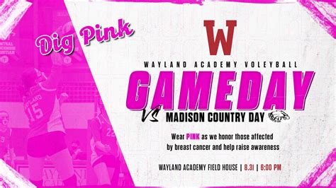 Dig Pink Tonight At Wayland Girls Volleyball Game | Daily Dodge