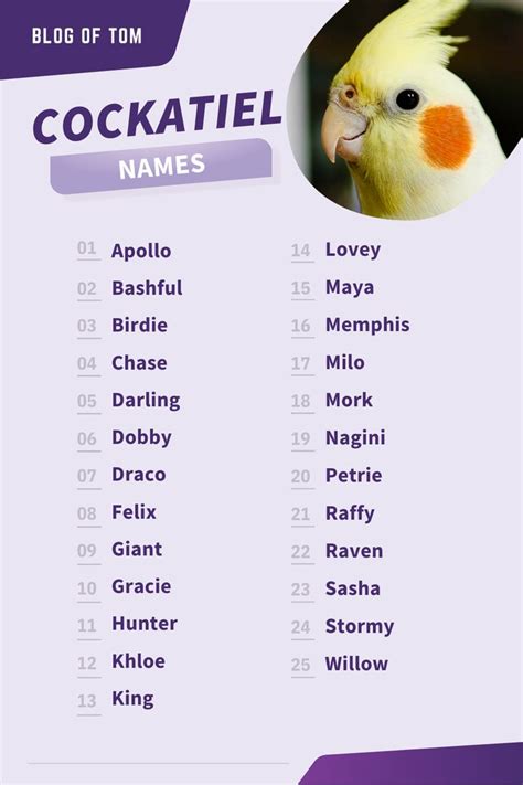 Looking for a unique name for your cockatiel? Look no further! This list of 439 names has ...