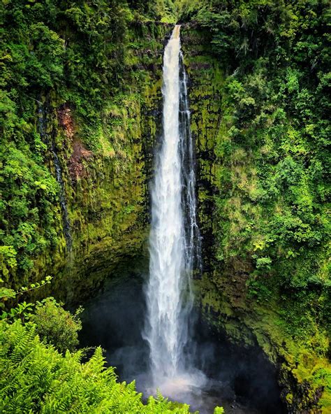 Beautiful Akaka Falls, Hilo | Waterfall, Big island, Hawaii travel