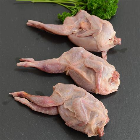 Quail Meat for Sale | Whole Quail | Gourmet Food Store