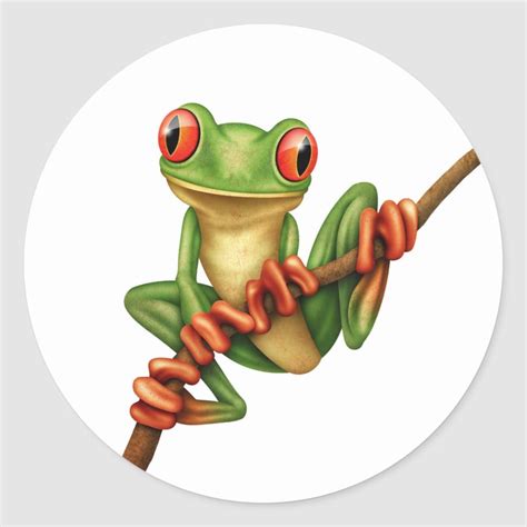 Cute Green Tree Frog on a Branch on White Classic Round Sticker ...