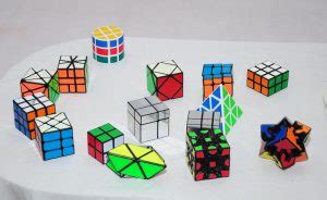 MOST TYPES OF RUBIK'S CUBES SOLVED IN LEAST TIME - India Book of Records