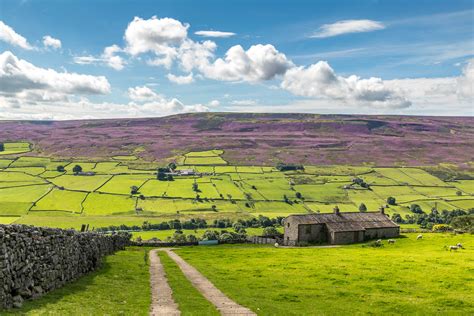 Swaledale walk - walks from Reeth - Yorkshire Dales walks