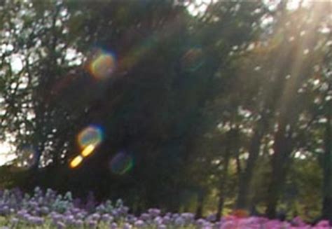 Understanding Camera Lens Flare