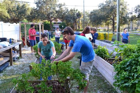 Gardening club looks to the future – The Crow's Nest