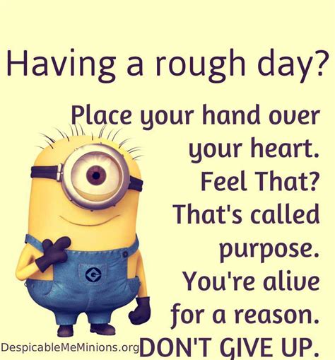 Funniest Minion Quotes and Pictures Of The Week