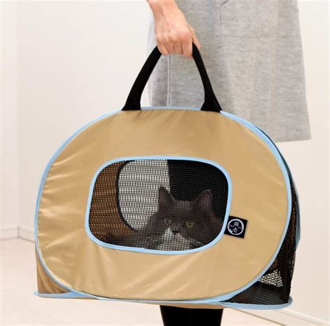 Amazon.com: cardboard cat carrier