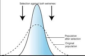 Fundamental concepts of evolution explained., page 1