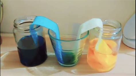 How To Make Science Capillarity Experiment Using Paper Towel - YouTube