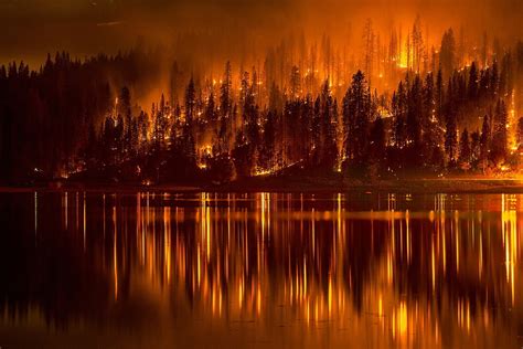 Burning forest near lake during nighttime HD wallpaper | Wallpaper Flare