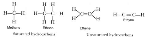 Hydrocarbons Examples