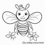 Bee Coloring Pages  Free & Printable sketch template