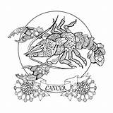 Premium Vector  Cancer zodiac sign coloring Book For Adults sketch template