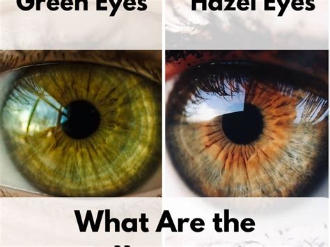 Limbal Hazel