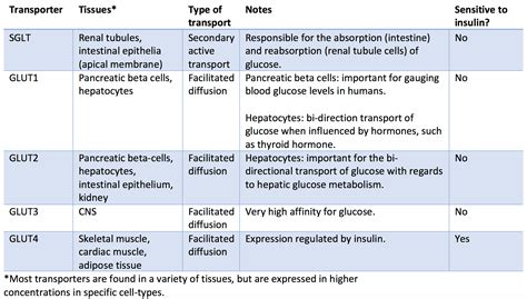 Physiology, Glucose Article