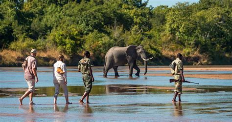 Zambia Safari Tours - Zambia Safari Lodges