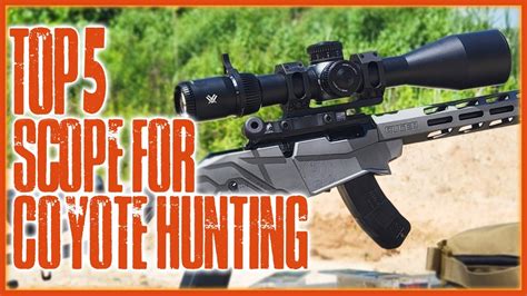 Top 5 Best Scope For Coyote Hunting Reviews In 2023