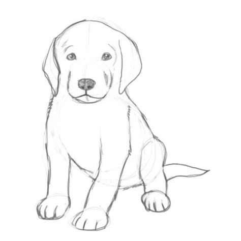 Comment dessiner un chien. La leçon pour débutants | Artacadémie