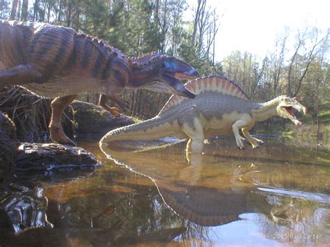 Carcharodontosaurus VS Spinosaurus by Carnosaur on DeviantArt