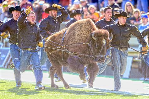 The Greatest Live Mascot in College Football Is CU's Ralphie the Buffalo | Bleacher Report ...