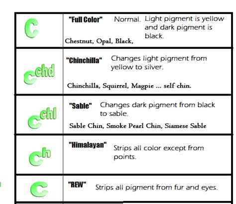 Rabbit Color Genetics: Self Chinchilla Explained - Rabbit Smarties ...