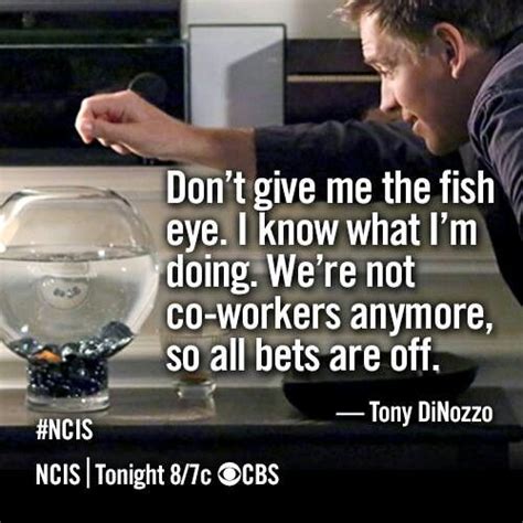 Ncis Ziva Quotes Funny. QuotesGram