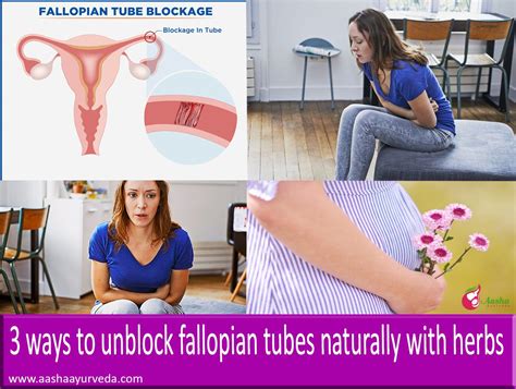 3 Ways To Unblock Fallopian Tubes Naturally With Herbs | Fallopian ...