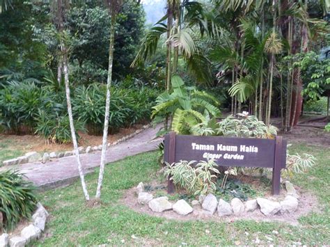 Grace's Tri-bulations: Kepong Botanical Gardens KBG FRIM