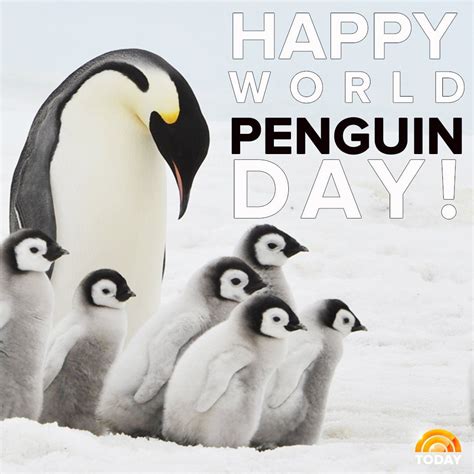 World Penguin Day | Penguin day, Penguins, Safari animal prints