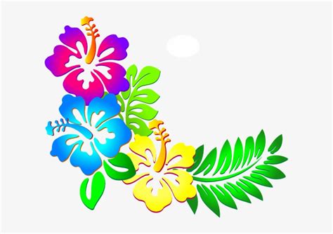 Flower Border Png - Hibiscus Flower Clipart - Free Transparent PNG Download - PNGkey